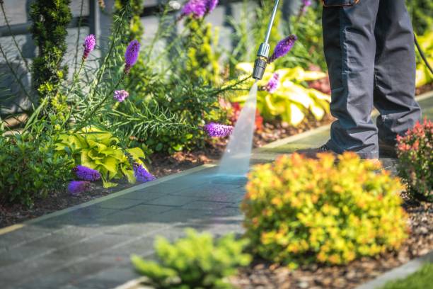 Best Boat and Dock Cleaning  in Tunnel Hill, GA